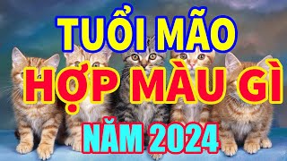 Tuổi Mão Hợp Màu Gì Năm 2024 Mang Lại Tài Lộc May Mắn I tv24h tuoimaohopmaugi2024 tuvi24h [upl. by Namie]