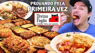 PROVAMOS PELA PRIMEIRA VEZ AS COMIDAS DO DIVINO FOGÃO  Vale a pena [upl. by Halik]