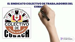 CONTRATO COBACH [upl. by Ijic]