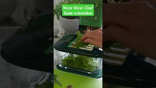 Salat schneiden Nicer Dicer Chef nicerdicer nicerdicerchef salat sofiehaushaltunperfektperfekt [upl. by Anigal960]