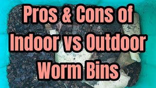 Pros amp Cons of Indoor vs Outdoor Worm Bins [upl. by Ranip]