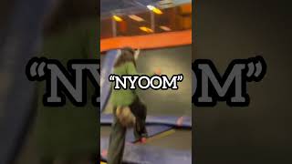 wild lynx scurries away and dies 4k joke therian furry skyzone trampoline [upl. by Pammie]