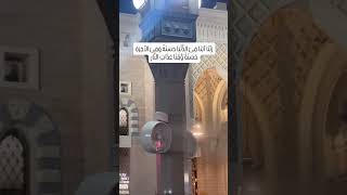 Sarkar Hamare Hain  Al Masjid An Nabawi 💫 youtube shorts life [upl. by Aikemaj]