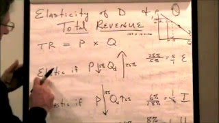 Elasticity and Total Revenue [upl. by Aisats]