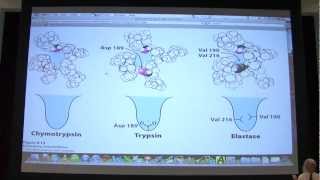 12 Biochemistry Catalytic Mechanisms I Lecture for Kevin Aherns BB 450550 [upl. by Gunn]