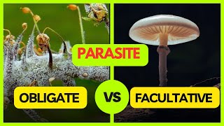 Obligate Parasite  Facultative Parasite  Facultative Saprophyte  Plant Pathology [upl. by Funch]