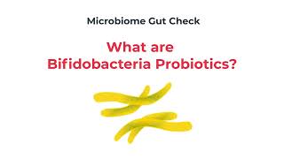 Bifidobacteria Probiotics Explained [upl. by Etnovaj]