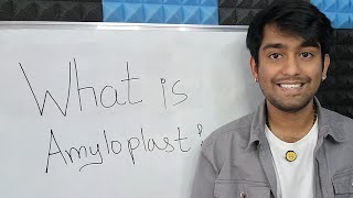 Learn What is an Amyloplast The Plant Cell Organelle for Starch Storage in Biology [upl. by Teak]