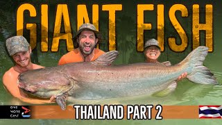 GIANT FISH Thailand Part 2  Ali Hamidi  Siamese Carp Mekong Catfish and MORE  One More Cast [upl. by Odlaner305]