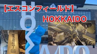 【エスコンフィールドHOKKAIDO】秋季キャンプは臨場感抜群！ [upl. by Terryn226]