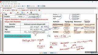 Organik bileşikler [upl. by Rusticus456]