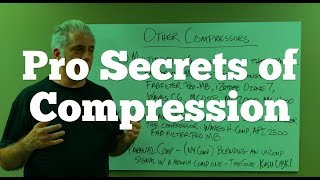 How The Pros Use Compression on Instruments and Mixes [upl. by Andra340]