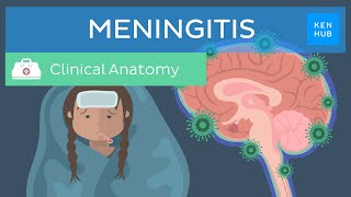 Meningitis Causes symptoms treatment  Kenhub [upl. by Liauqram]