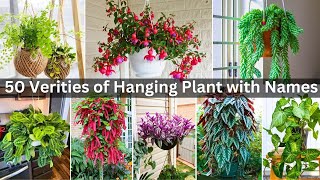 50 Verities of hanging plant with namesHanging plant Collectionbest hanging plants hangingplants [upl. by Oakman]