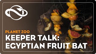 Planet Zoo  Keeper Talk  Egyptian Fruit Bat [upl. by Zerline]