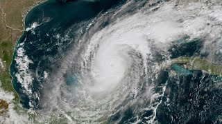 Here amp Now Wed Oct 9 2024  Newfoundlanders in Florida prepare for Hurricane Milton [upl. by Magda473]