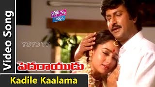 Kadile Kaalama Video Song  Pedarayudu Movie Songs  Mohan Babu Soundarya  Koti  YOYO Cine Talkie [upl. by Satsok]