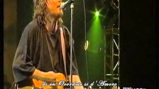 Zucchero  Overdose damore Live 1995 [upl. by Favien778]