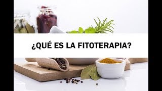 ¿Qué es la Fitoterapia [upl. by Dirraj95]