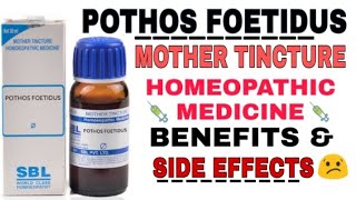 POTHOS FOETIDUS MOTHER TINCTURE HOMEOPATHIC MEDICINE BENEFITS amp SIDE EFFECTS [upl. by Caine]