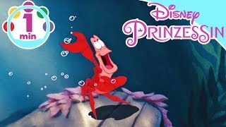 ARIELLE Song zum Mitsingen ♫ Unter dem Meer ♫  Disney Junior [upl. by Thamos]