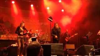 Rachid Taha  Ya Rayah  Live in Vienna 2014 [upl. by Ettenahc]