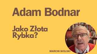 Bodnar jako złota rybkamarcinwolski polityka [upl. by Bodkin]