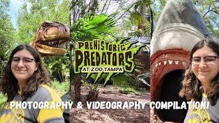 Prehistoric Predators at ZooTampa  A Lowry Park Compilation [upl. by Farron15]