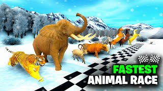 FASTEST ANIMAL RACE  Elephant Horse Lion Zebra Tiger Cow  Animal Race Challenge [upl. by Hepzi699]