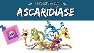 ASCARIDÍASE  PARASITOLOGIA 6 [upl. by Salangia]