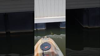 Spotted Bass Inhales Chatterbait on Lake Lanier [upl. by Lenrad913]