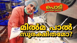 മിൽമ പാൽ സുരക്ഷിതമാണോ  milma milk processingmilma milk processing factory in KeralaLeafyKerala [upl. by Divine]