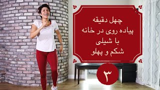 پیاده روی در خانه قسمت ۳ شکم و پهلو walk at home 3 abs [upl. by Padriac9]