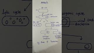 Bacterial Transduction [upl. by Pliner]