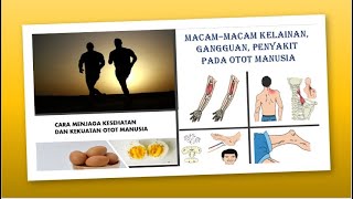 MacamMacam Kelainan Gangguan Penyakit Pada Otot ManusiaCara Menjaga Kesehatan dan Kekuatannya [upl. by Netsriik761]