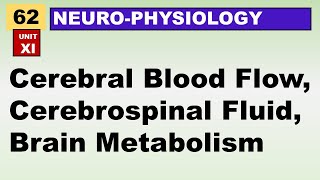 Ch62 Physiology Guyton  Cerebral Blood Flow  Cerebrospinal Fluid  Brain Metabolism [upl. by Murrah587]