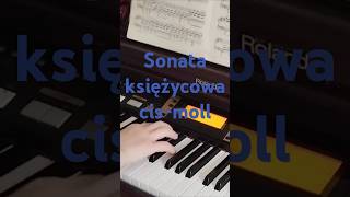 Sonata Quasi Una Fantasia Beethoven Księżycowa [upl. by Oba]