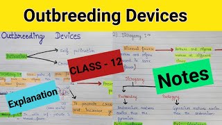 Outbreeding devices  Outbreeding devices in flowering plants  Outbreeding devices class 12 ncert [upl. by Robinetta]