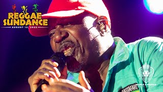 Alpha Blondy at Reggae Sundance 2022 [upl. by Greeson]