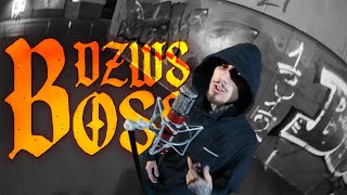 DZWS  BOSS Official Video [upl. by Holmen764]