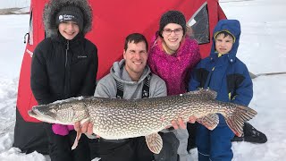 44 inch Northern Pike Caught Ice Fishing [upl. by Chas831]