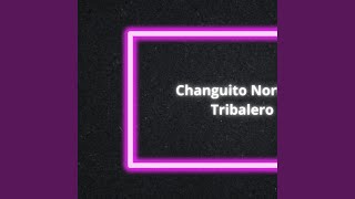 Changuito Norteño Tribalero [upl. by Perzan353]