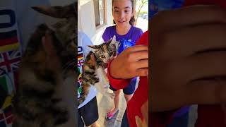 Parte 2 😺 RESCATE un GATITO de la CALLE adopta gatitos cute shorts viral funny rescateanimal [upl. by Paquito]