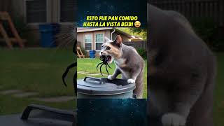 SASY LA CHIHUAHUA CORRE PELIGRO🥲 chihuahua perros mascotas animales perroabandonado [upl. by Ara]