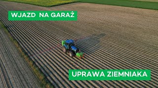 ZIEMNIAK WEDŁUG M GRYNA  CZYM I JAK GO UPRAWIA  268 nawozy nonstop [upl. by Islek]