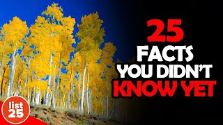 25 Things You Didnt Know [upl. by Zillah791]