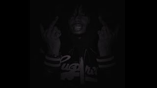 24 Songs  Playboi Carti Bass Boosted amp Slowed [upl. by Duke]