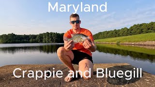 Maryland Summertime CRAPPIE and BLUEGILL Fishing [upl. by Trebo]