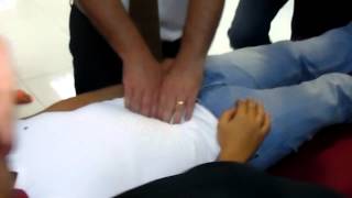 Osteopathy International course  Visceral Manipulation  Mesentry Technique [upl. by Anayrb]