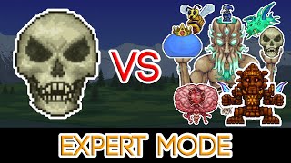 Terraria 135  Dungeon Guardian vs All Bosses Expert Mode [upl. by Essyla]